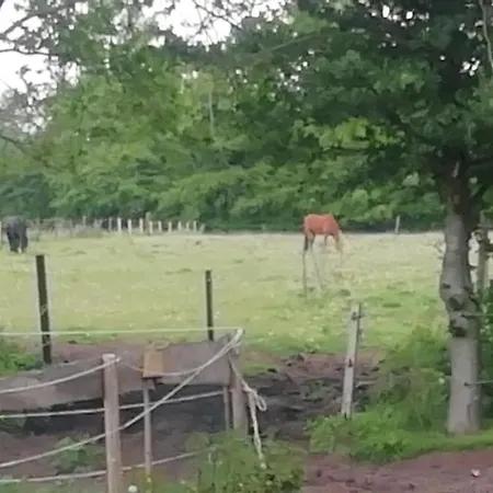 Hoeve Heegen *