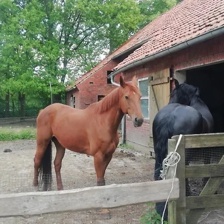Hoeve Heegen * Geeste